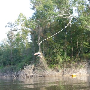 rope swing in honey island swamp