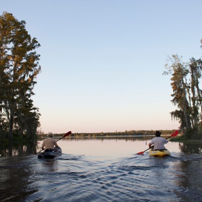 kayaking in the swamp