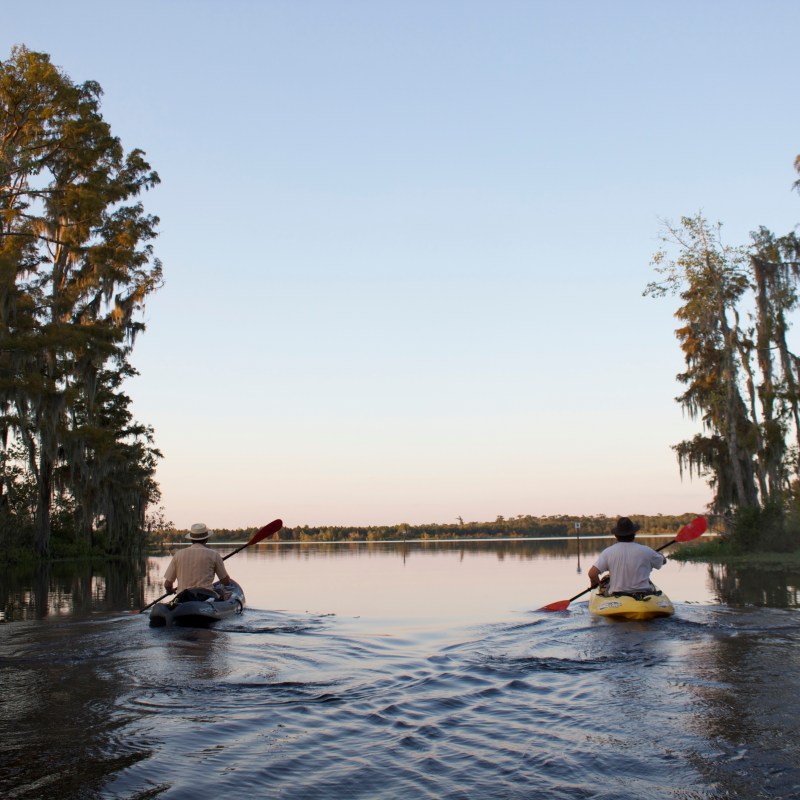 kayaking in the swamp