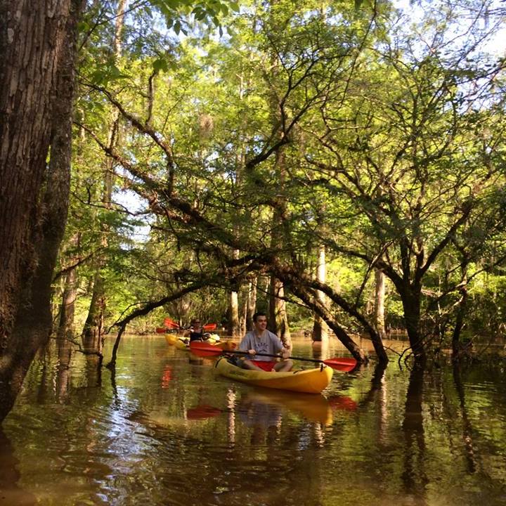 kayaking through a swamp