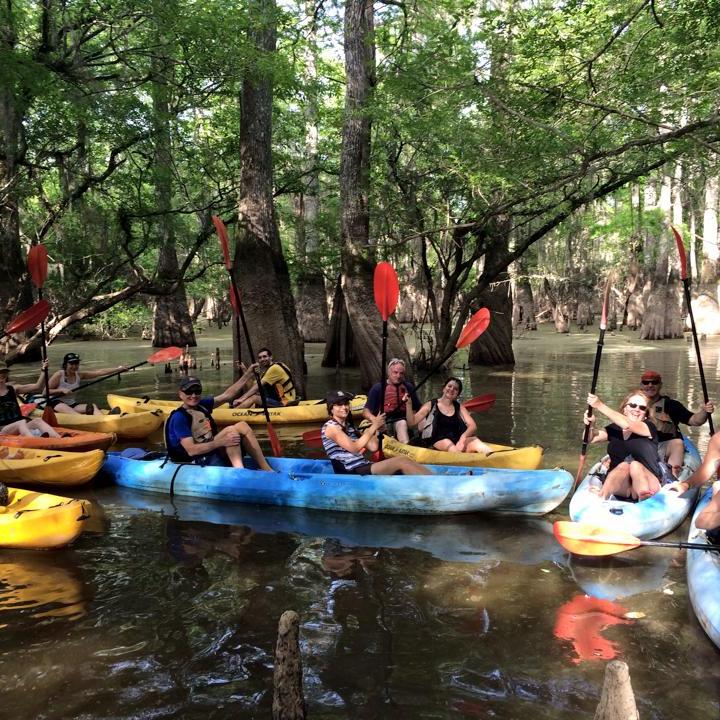 New Orleans swamp tour