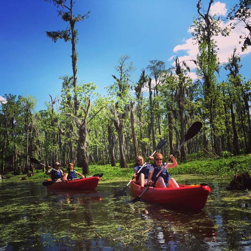new orleans kayak swamp tour