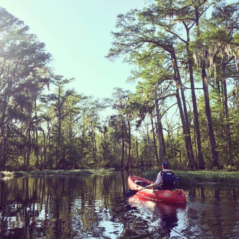 new orleans swamp kayak tour