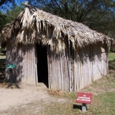 Structure build out of Palms