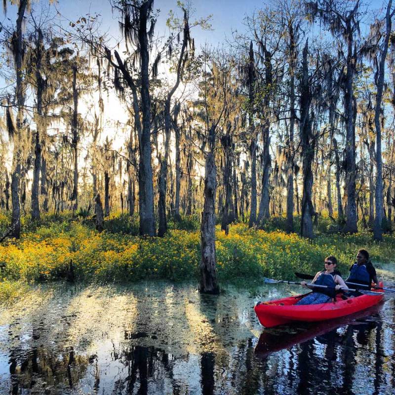 kayak tour in new orleans louisiana