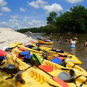 a group of kids swimming at the half way point on the honey island swamp tour with kayaks pulled up on the beach
