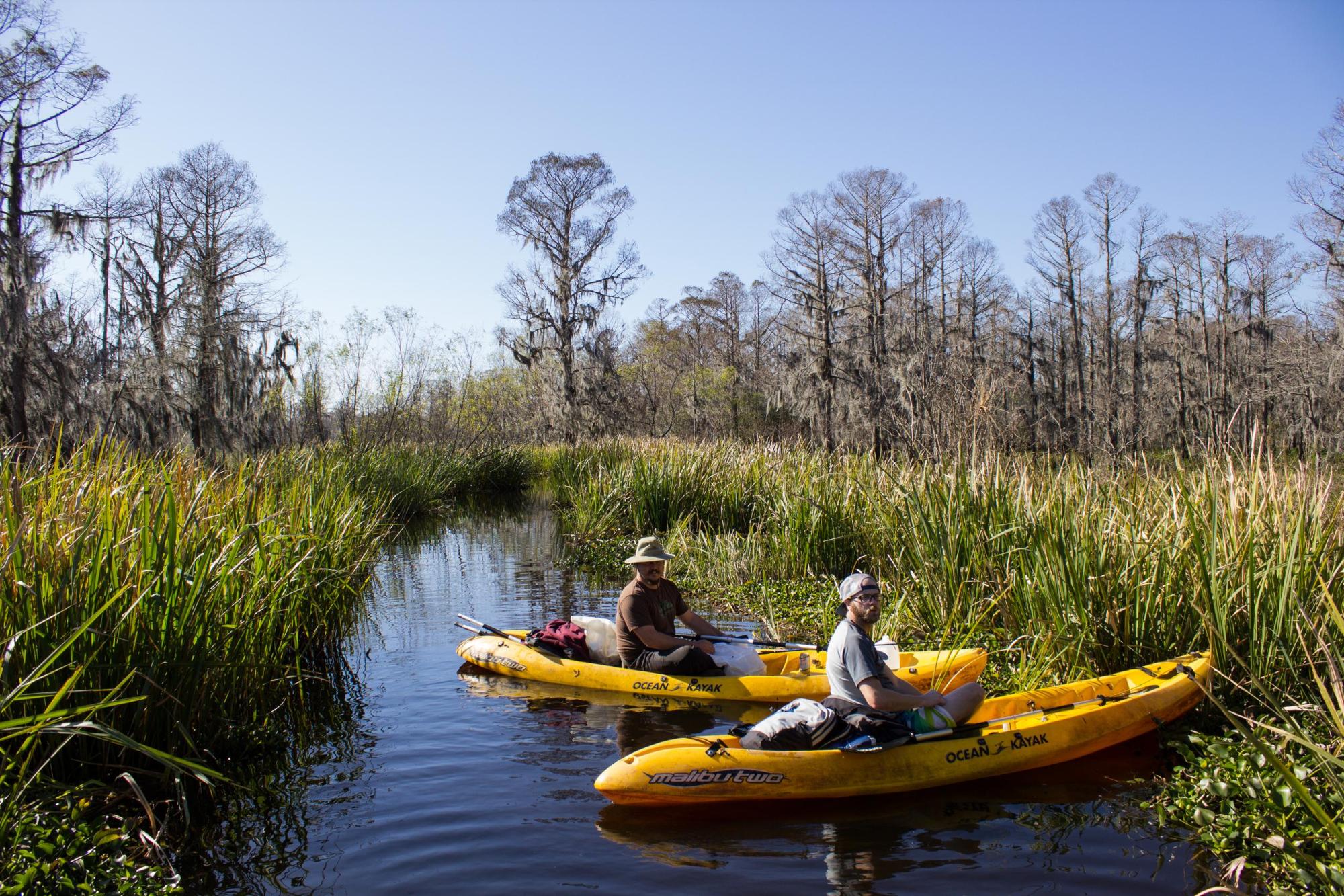 2 guys in kayaks on a Manchac Swamp Kayak Tour