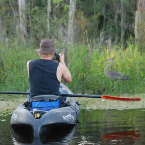 a kayaker on a louisiana swamp tour taking a photo of a bird