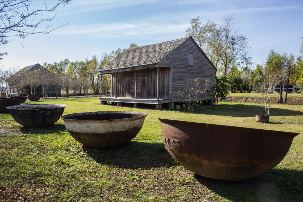 plantation & kayak swamp tours new orleans photos