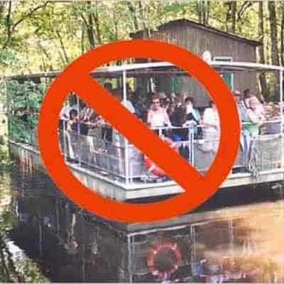 a super packed swamp boat tour