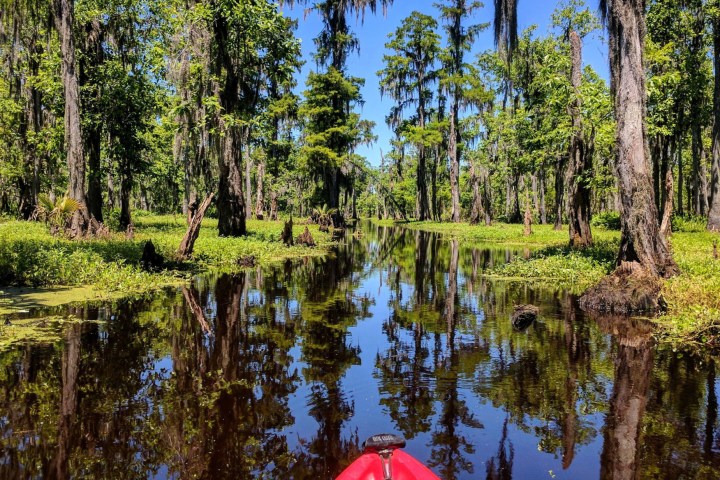 Shell Bank 1/2 Day Extended Bayou Adventure