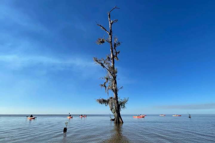 a group of people standing next to a body of water