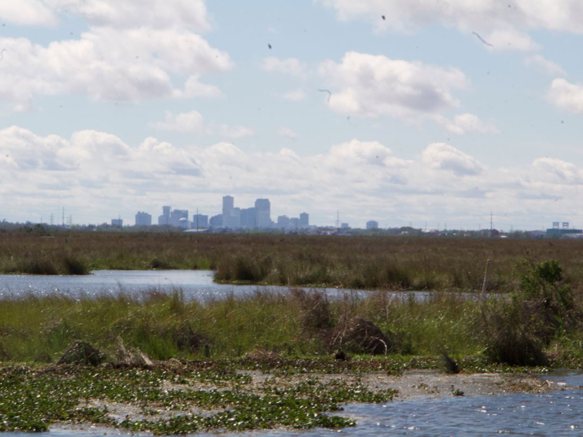 a large body of water