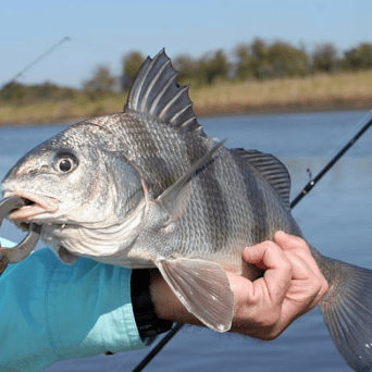 a person holding a fish in the water