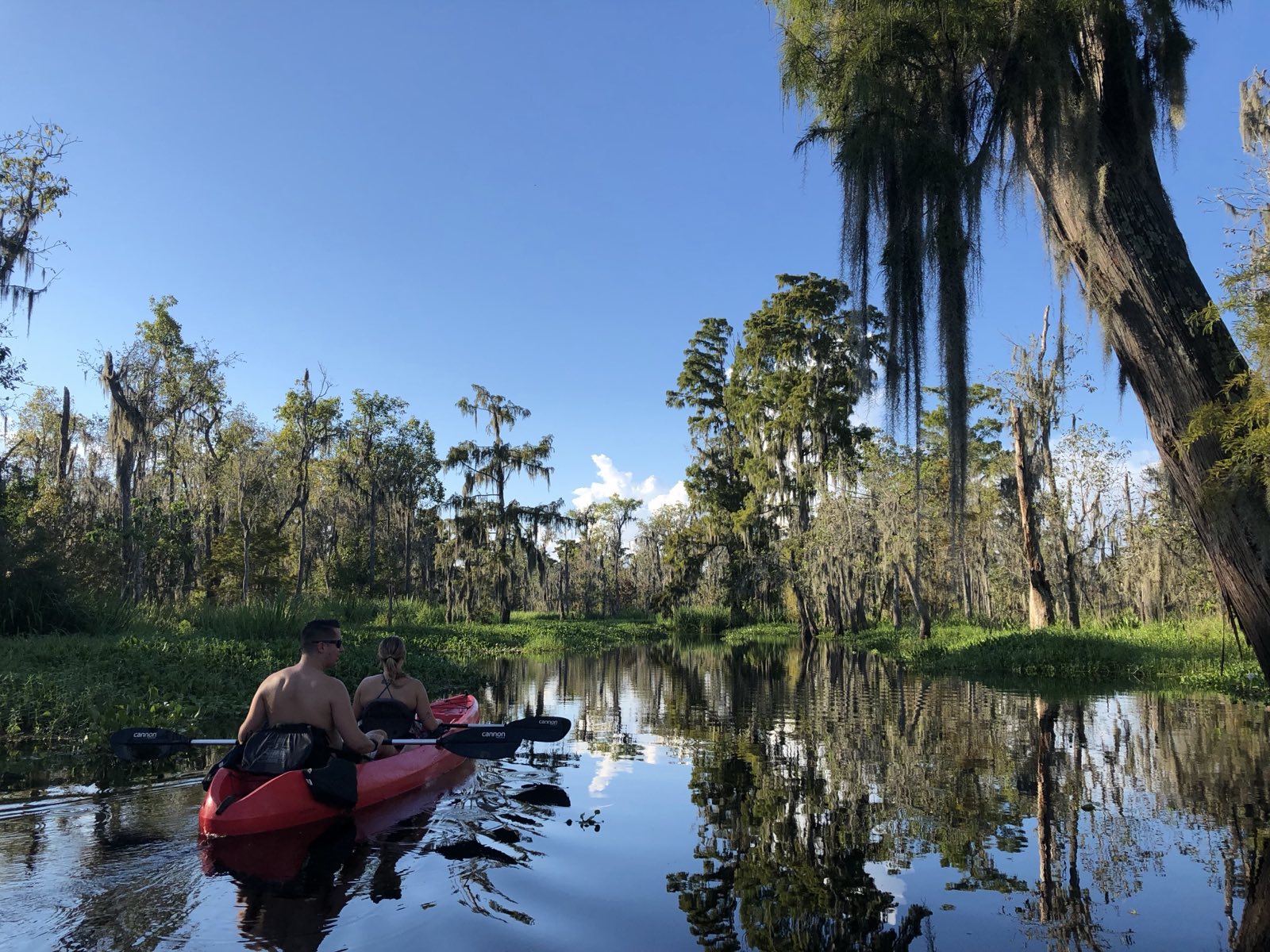 Kayakers paddling quietly through Manchac cypress swamp without a motor, the calm alternative to airboat tours near New Orleans